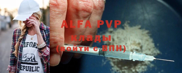PSILOCYBIN Волосово