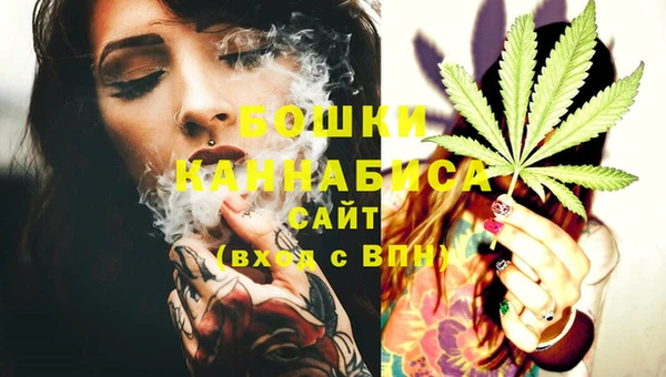 PSILOCYBIN Волосово