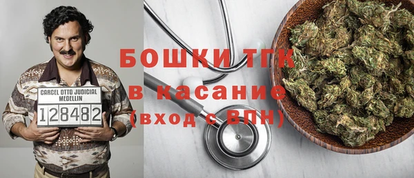 PSILOCYBIN Волосово