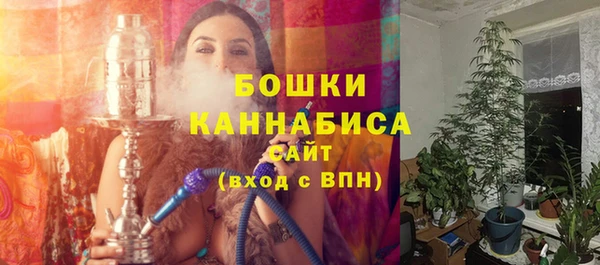PSILOCYBIN Волосово