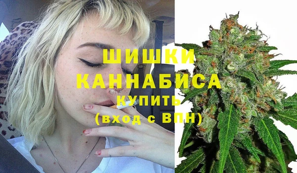 PSILOCYBIN Волосово