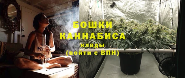 PSILOCYBIN Волосово