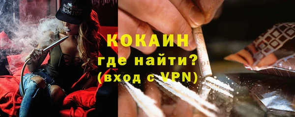 PSILOCYBIN Волосово