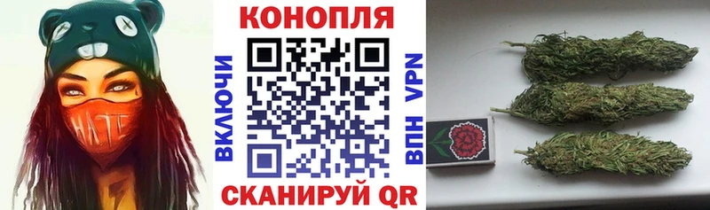 Бошки Шишки гибрид  Сочи 